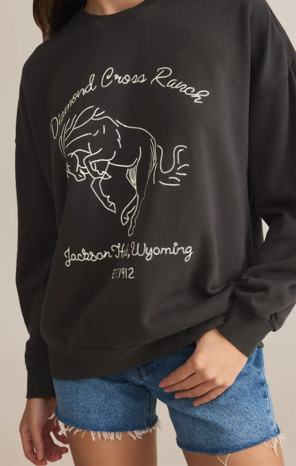 Bronc Embroidered Sunday Sweatshirt