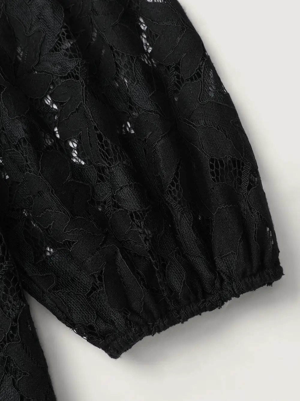 Lace Trim Sheer Ruffled Collar Button Shirt