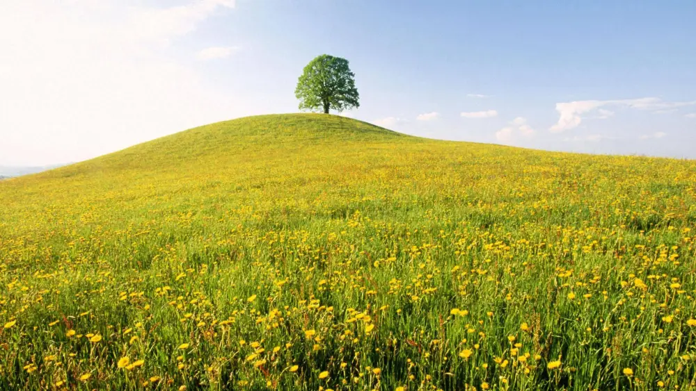 009Short Sleeve Daily Going out Weekend Streetwear Crewneck Regular Fit Summer Spring