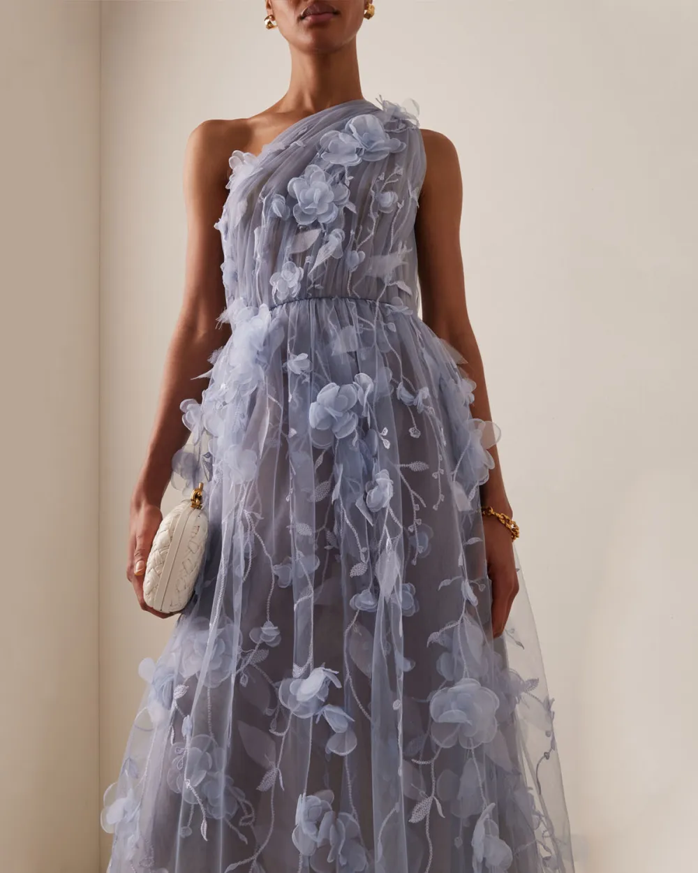 Wisterial Tendrils Appliquéd-Tulle Midi Dress