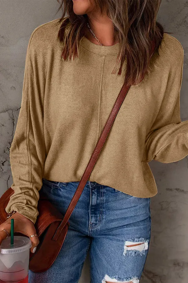 Solid Long Sleeve Crew Neck Casual Top