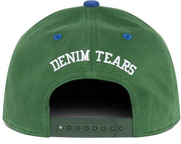 Systemic Racism Controls America Hat Green