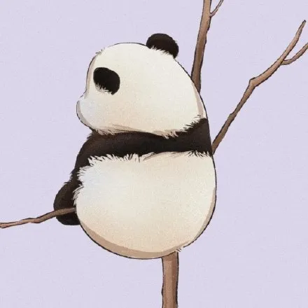 test001