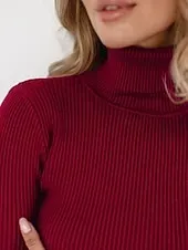 Women's Sweater Casual Soft Pure Color Ribbed Turtleneck Knitted Long Sleeve Regular Tops Knit Outdoor Daily Weekend Black White Fall Winter
