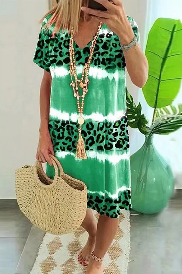 Colorblock Leopard Print V-Neck Dress