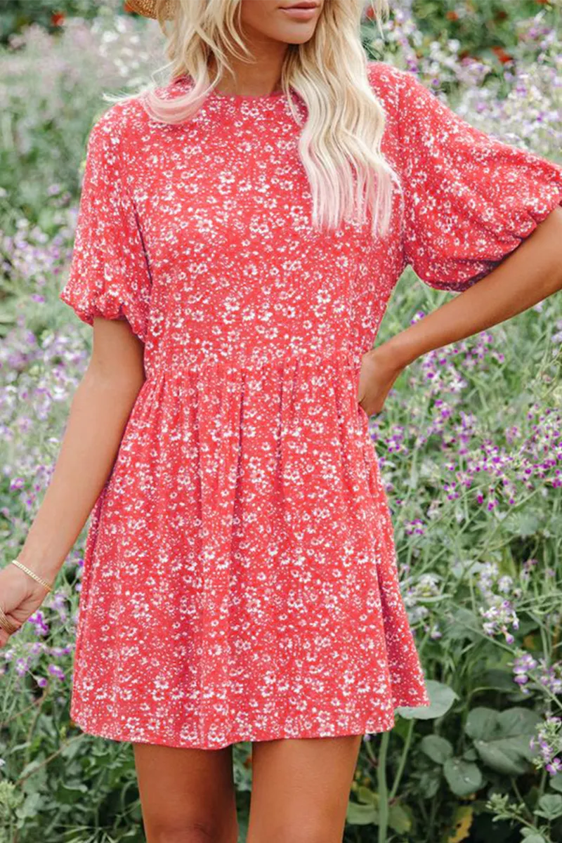 Casual Print Split Joint O Neck Straight Dresses(6 colors)