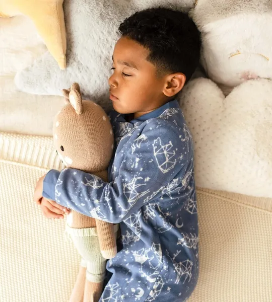 North Star polarbee™ Repreve® Fleece Pajamas
