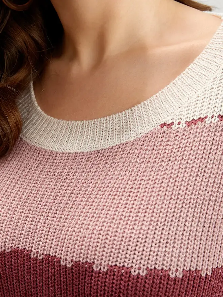 Colorblock Contrast Pointelle Knit Crew Neck Knit Top