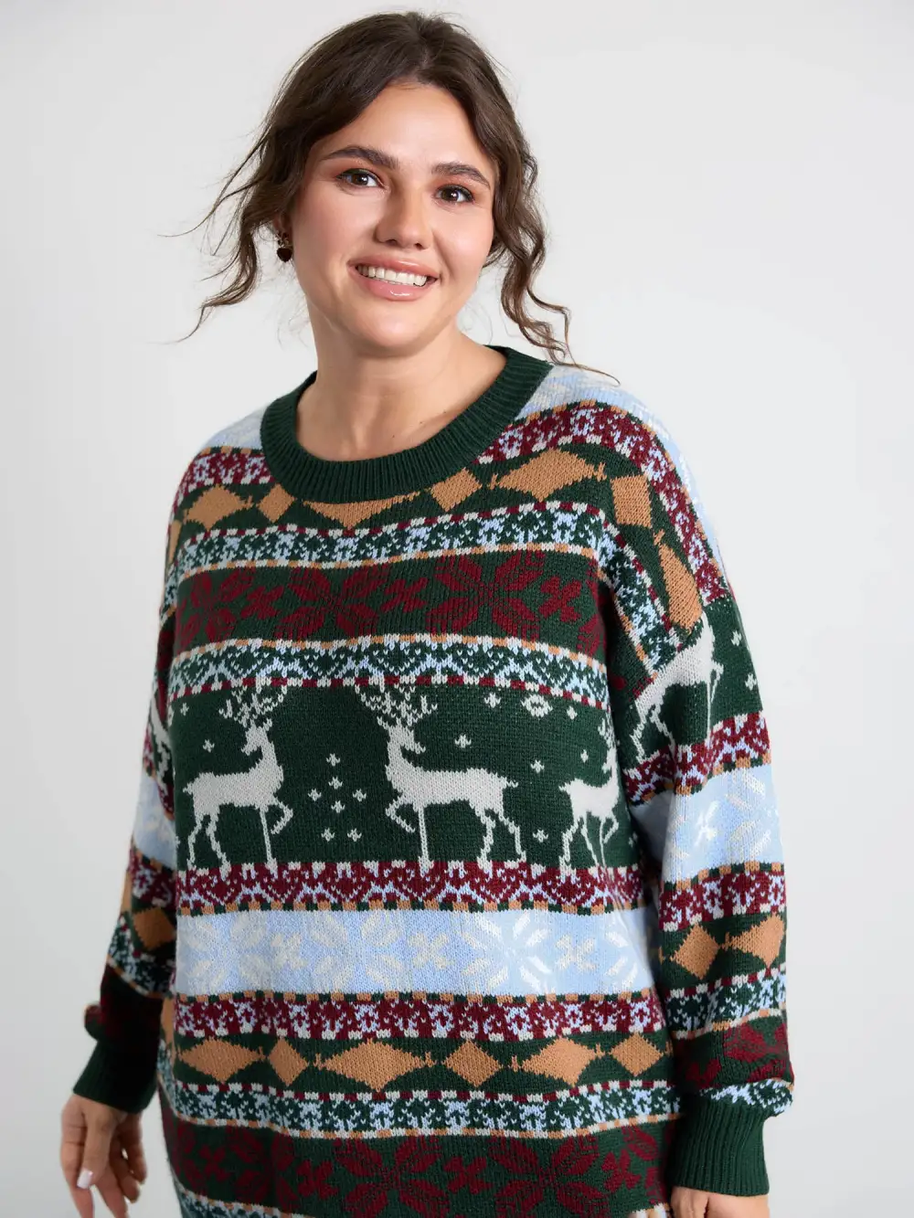 Elk Christmas Print Jacquard Ribbed Hem Pullover