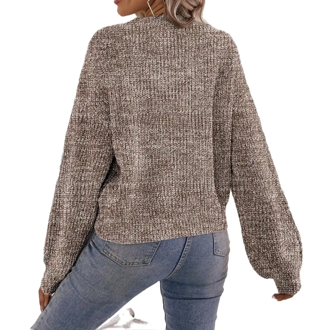 Casual Plain V neck Pullovers Long Sleeve Brown Women Sweaters (Women's)