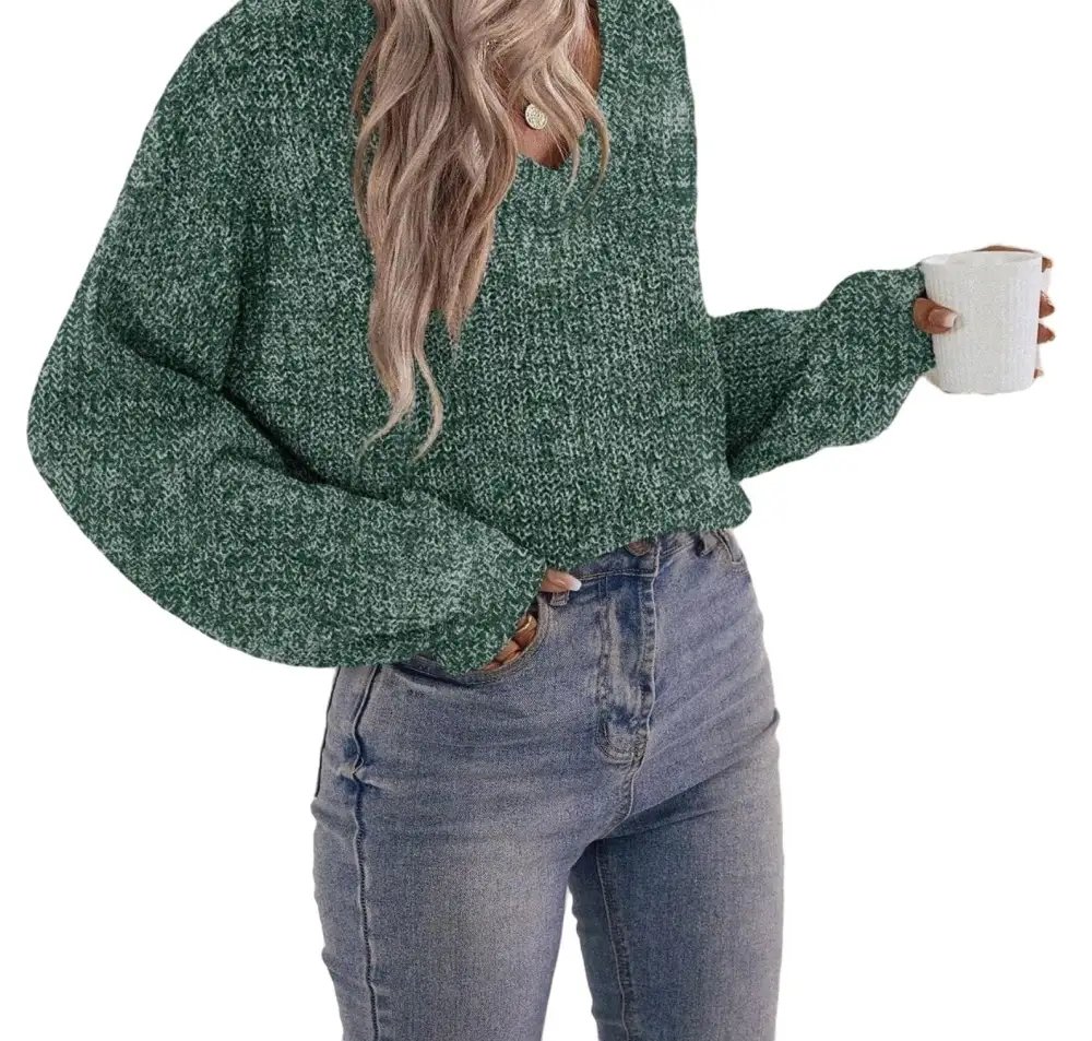 Casual Plain V neck Pullovers Long Sleeve Brown Women Sweaters (Women's)