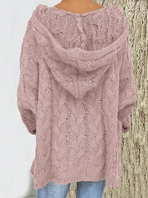 Solid Color Twist Knitting Hoodie Sweater