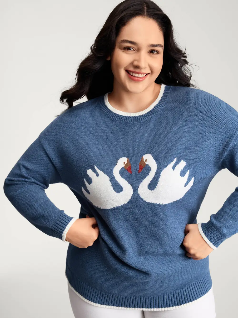 Swan Jacquard Pattern Color Contrast Pullover