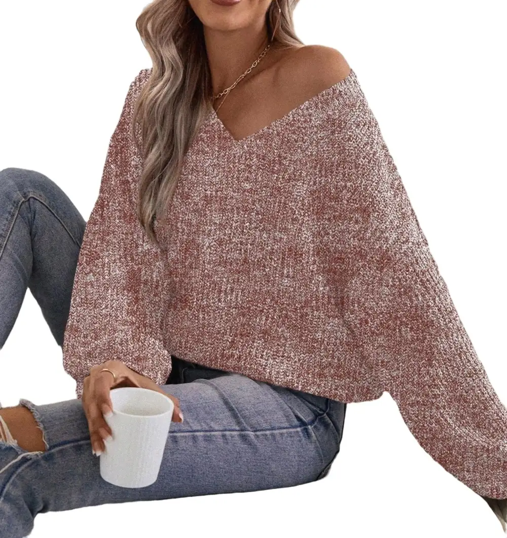 Casual Plain V neck Pullovers Long Sleeve Brown Women Sweaters (Women's)