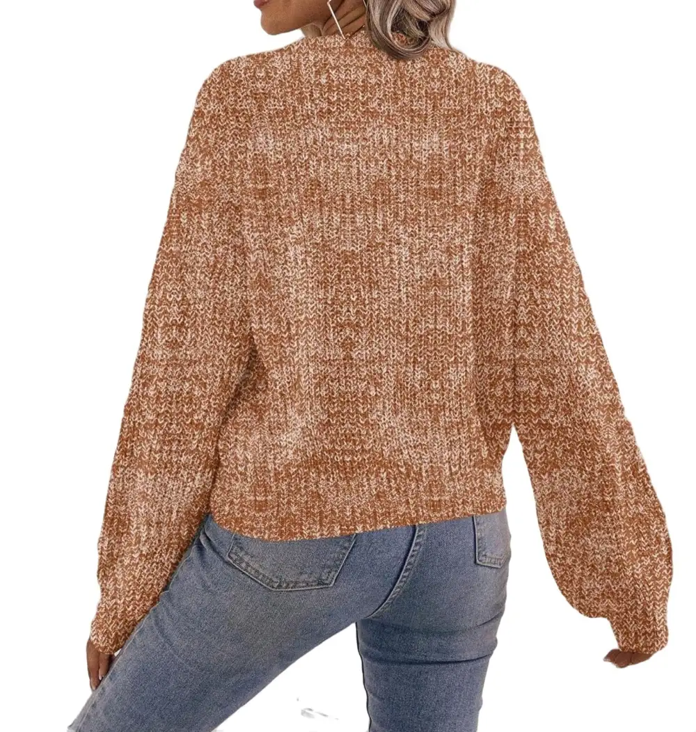 Casual Plain V neck Pullovers Long Sleeve Brown Women Sweaters (Women's)