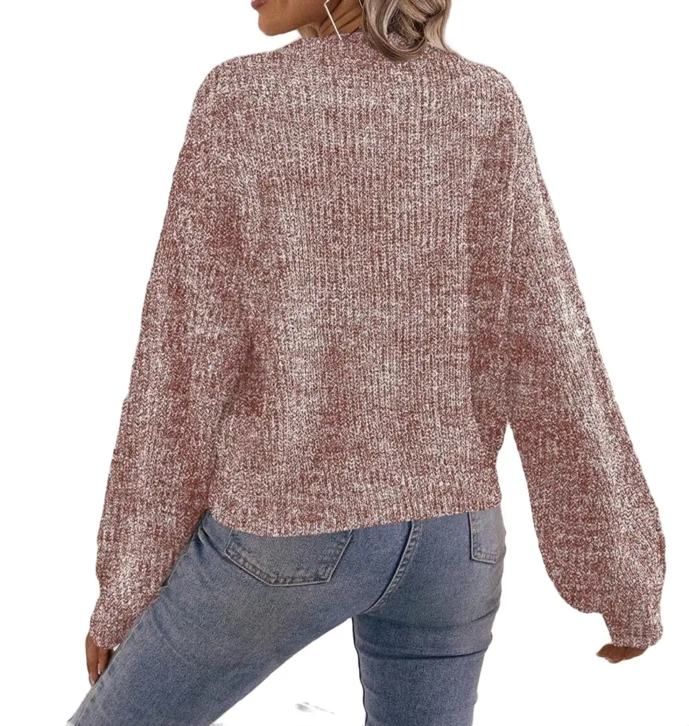 Casual Plain V neck Pullovers Long Sleeve Brown Women Sweaters (Women's)