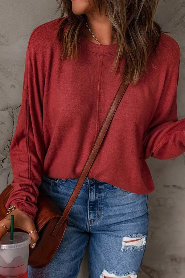 Solid Long Sleeve Crew Neck Casual Top